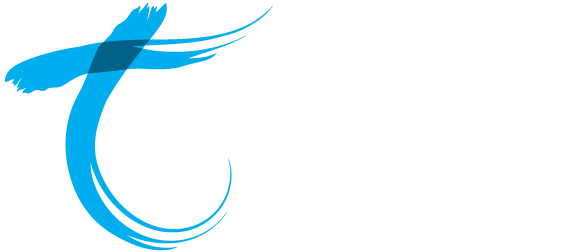 Telair - Committed to delivering what we promise