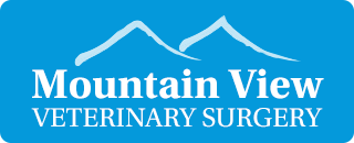 Mountain View Vet Surgery